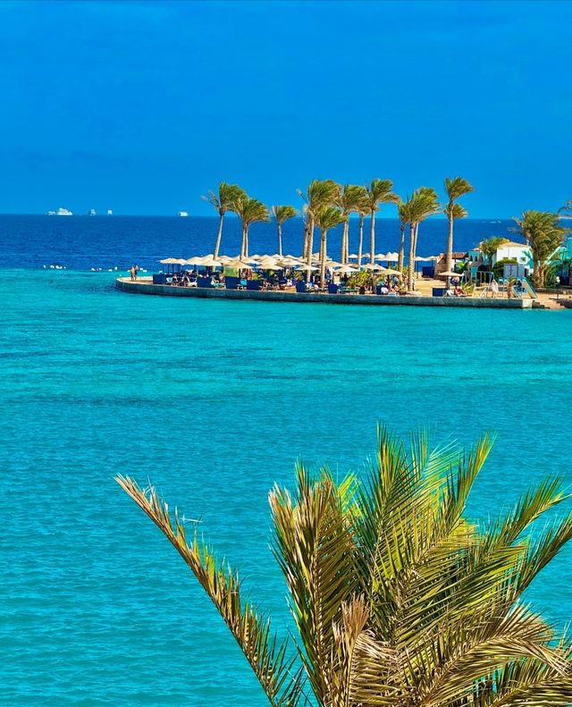 埃及紅海全包酒店天花板!這性價比絕了 埃及紅海全包酒店天花板!這性價比絕了