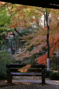 12.3|虞山紅楓進度99% (附路線圖