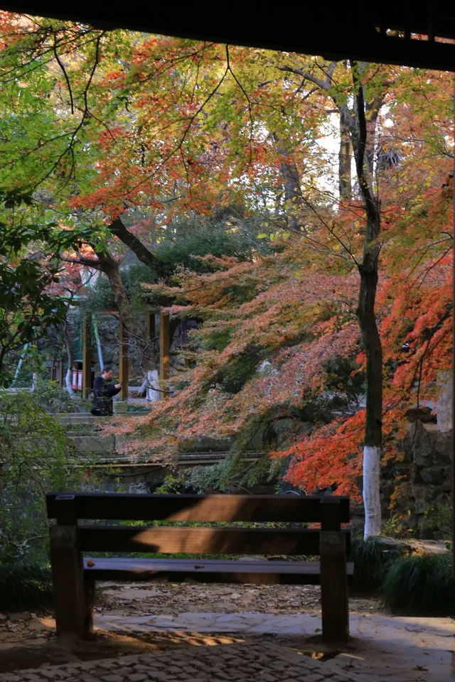 12.3|虞山紅楓進度99% (附路線圖 12.3|虞山紅楓進度99% (附路線圖