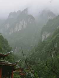 999級天梯挑戰!天門山保姆級遊玩攻略