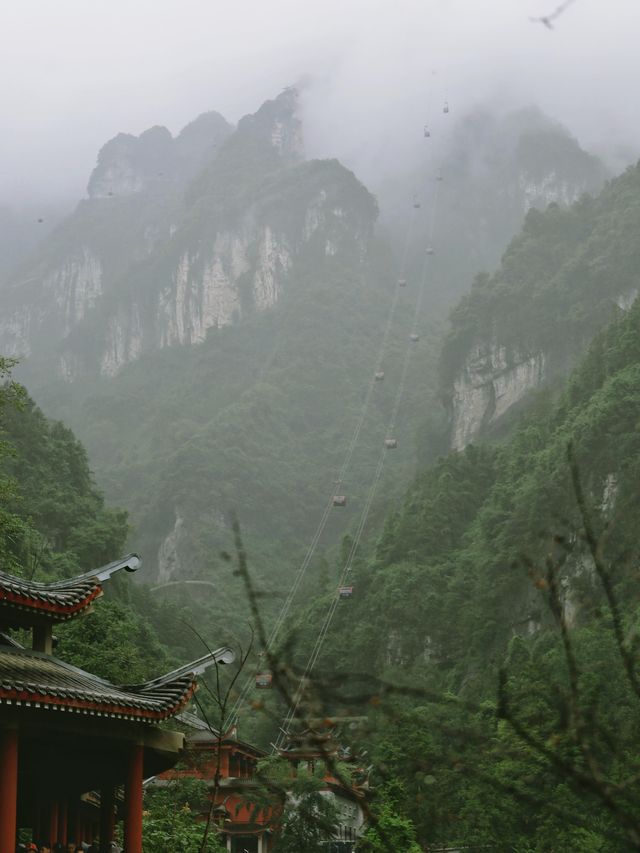 999級天梯挑戰!天門山保姆級遊玩攻略 999級天梯挑戰!天門山保姆級遊玩攻略