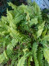 西安秋冬必住!城牆邊詩意別院