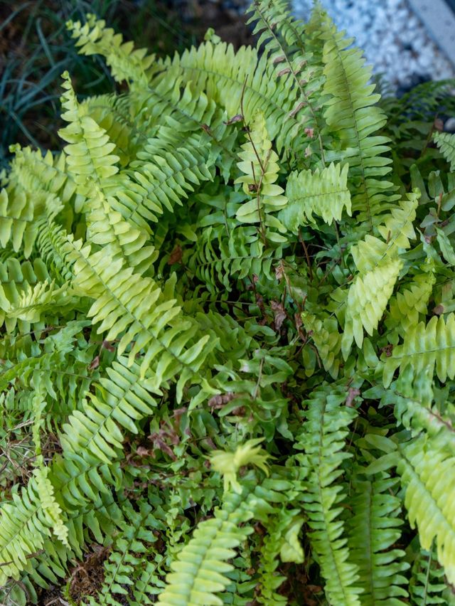 西安秋冬必住!城牆邊詩意別院 西安秋冬必住!城牆邊詩意別院