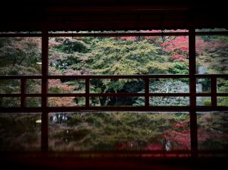 ฉันเจอ "ทางเลือก" ที่สมบูรณ์แบบแทนวัดรุริโคอินแล้ว: คนน้อยกว่า ทิวทัศน์สวยงาม และเข้าชมฟรี!