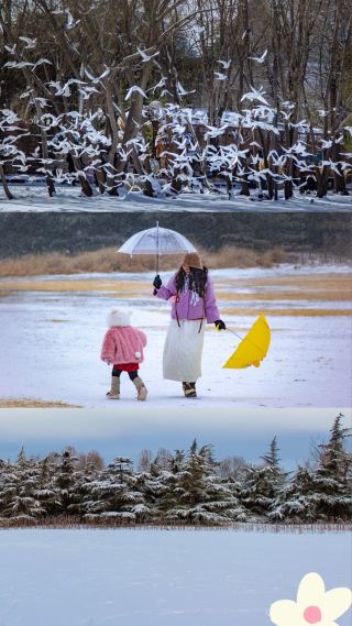 홋카이도가 아니라 바로 여기 북4환도로에 위치한, 개인 온천과 동물원 같은 편의시설을 갖춘 곳입니다.