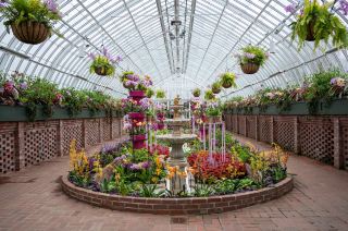 ピッツバーグ植物園、熱帯雨林と胡蝶蘭を共に楽しむ