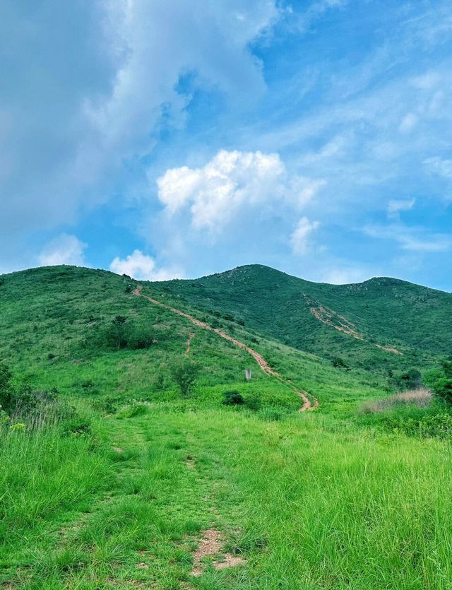 江蘇句容九連尖：闖入「江南小武功山」｜Trip.com 句容