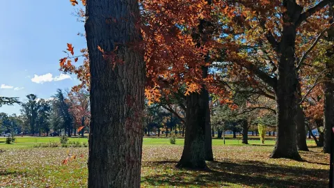 Harmony between humans and nature～ — traveler post in Acton