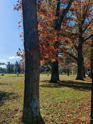 人と自然の調和した共生～