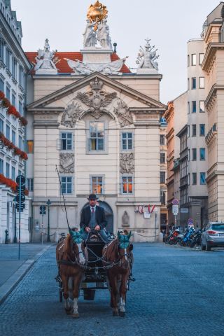 In Vienna, I cured my mental exhaustion