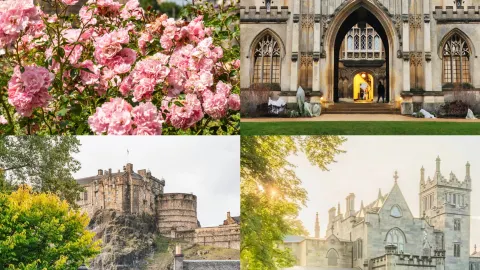 Saya baru kembali dari Inggris setelah perjalanan lima hari, dan kebiasaan belanja saya benar-benar hancur—ini terlalu berlebihan... — traveler post in Brighton dan Hove
