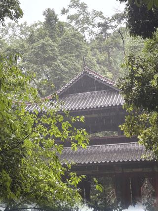 雨の日の峨眉山ハイキング攻略｜霧の中の仙境に出会うØ