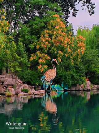 Jinan | Wulongtan Park: A Local's Hidden Gem Guide for Spring Viewing