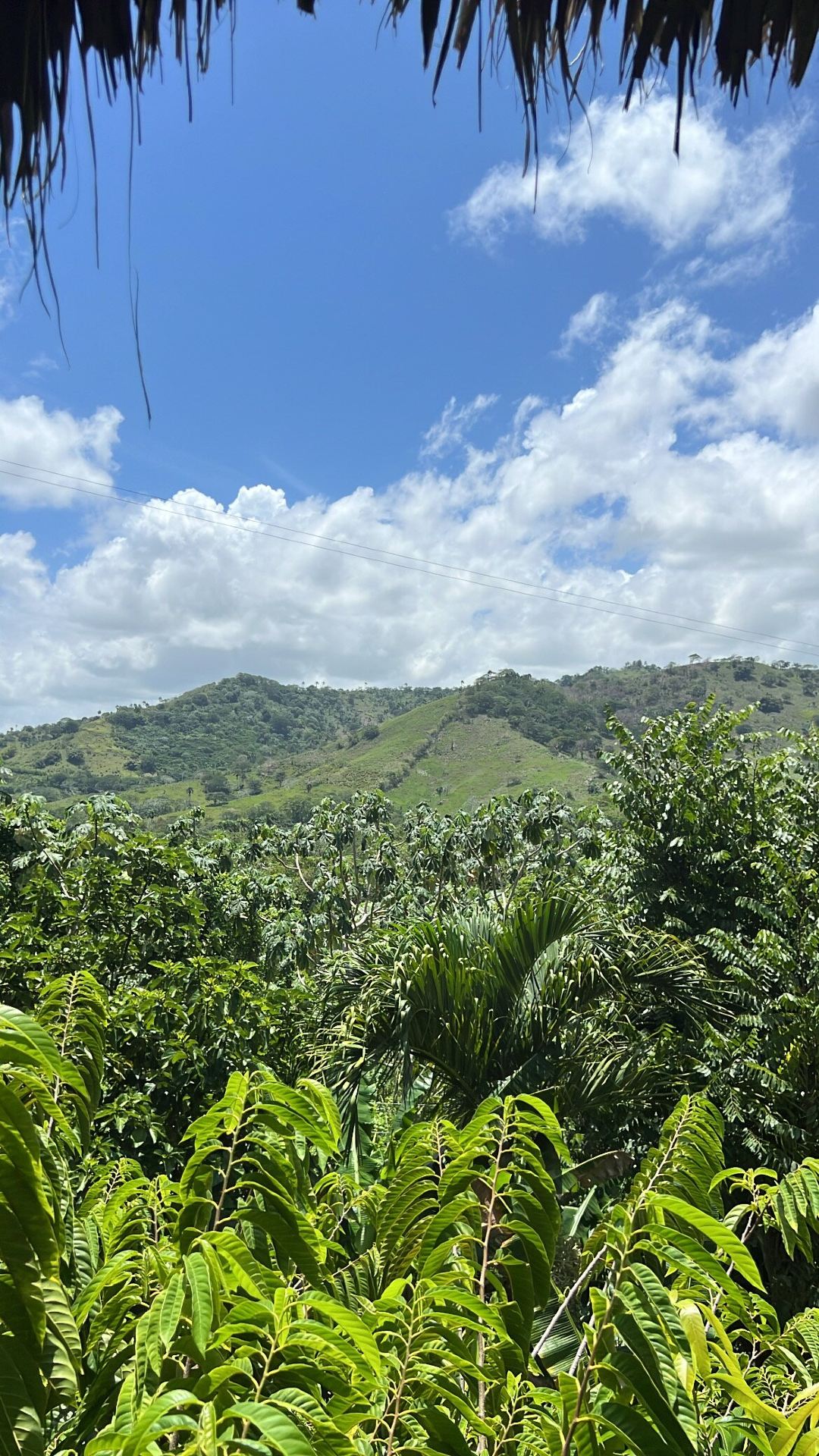 An Unforgettable Honeymoon Experience with Gabriel and the Team