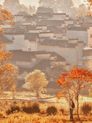 Tachuan Autumn Colors Countdown: The Ultimate Guide to the Season's Best Views