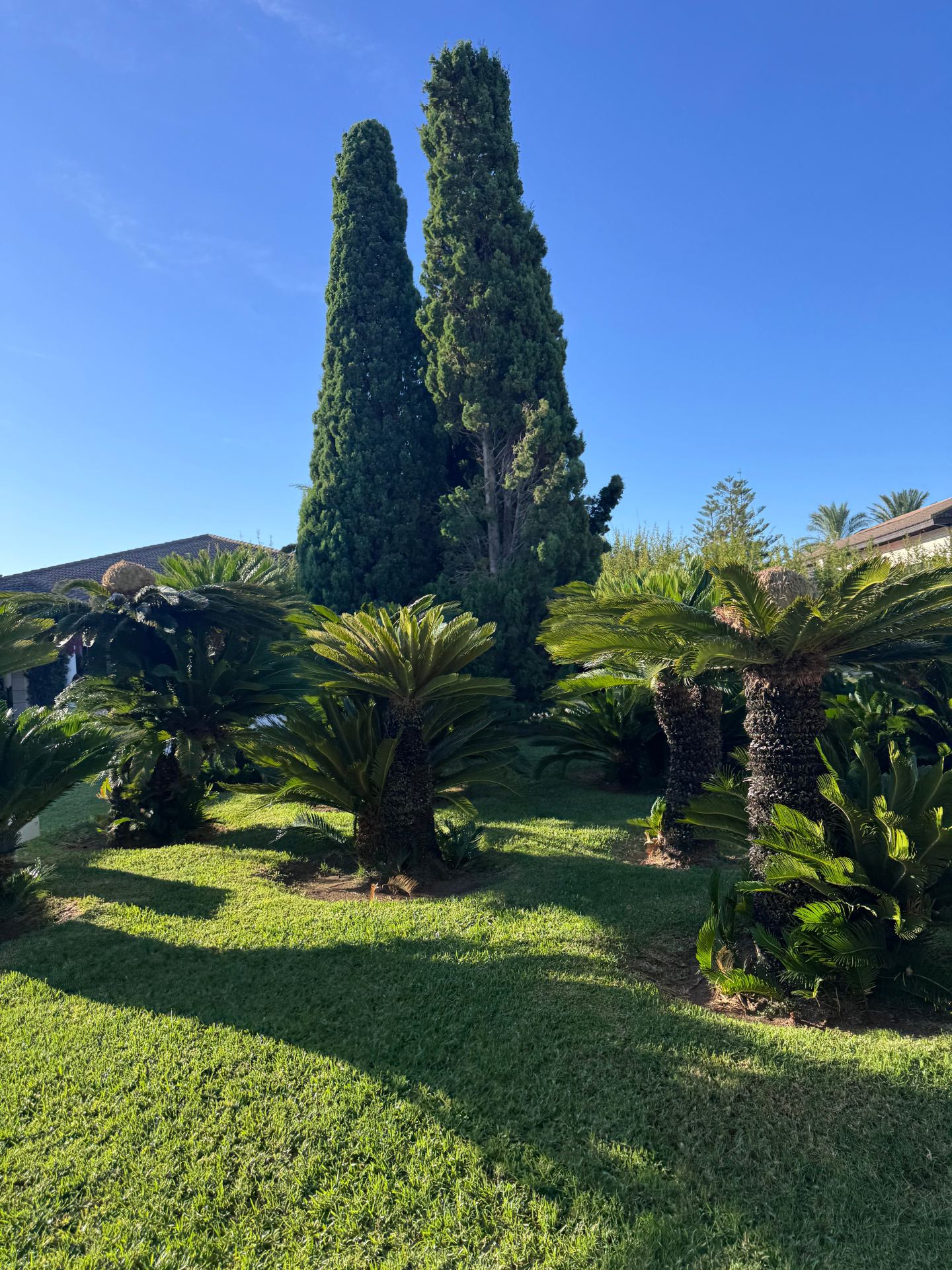Wonderful Stay Near Playa del Muro