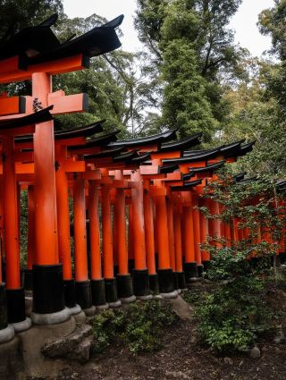 子連れ日本旅行8日間攻略、初心者必見！