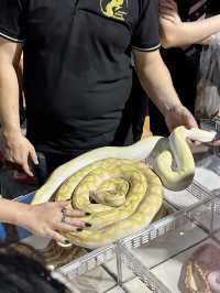 SIAM SQUARE ZOO PARTY