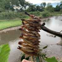 เมืองคลอง เชียงดาว
