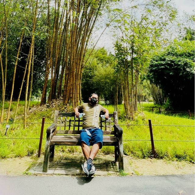 Think Green! 