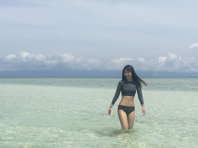 필리핀의 보물 보홀섬 💚