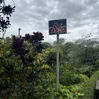 週末好去處