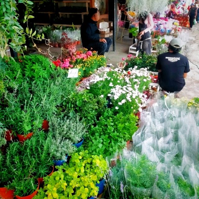 Farmer's Market amidst Chilling Weather