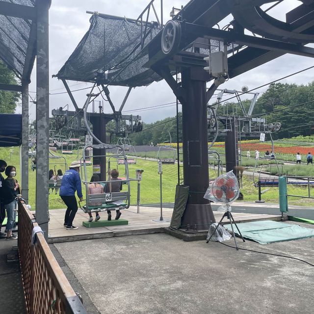 【群馬】関東最大！たんばらラベンダーパーク