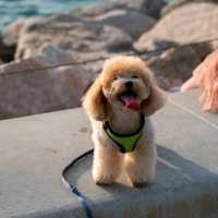 可以讓人chill一天的西九藝術公園west  Kowloon Art park