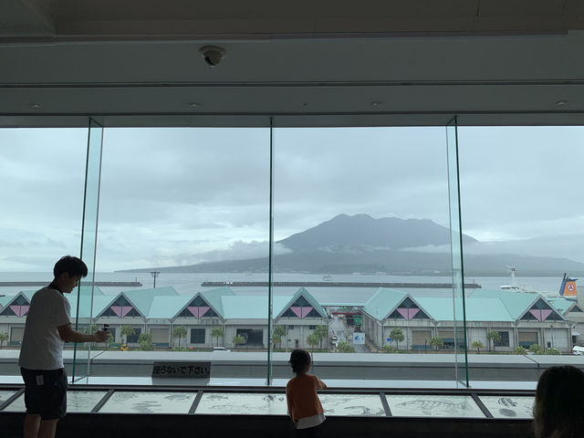 探索海洋奇觀：帶小朋友遊覽鹿兒島水族館