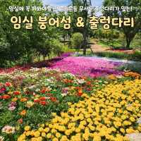 흔들흔들 출렁다리가 있는 임실 옥정호 붕어섬 생태공원🌉