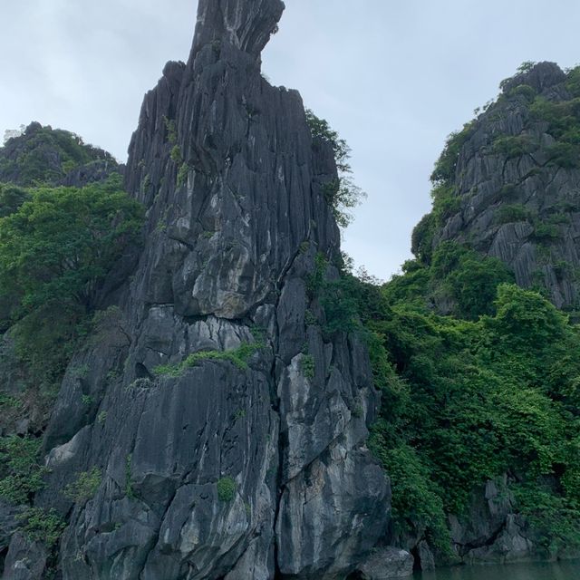 SUPER -SPECTACULAR trip to beautiful Halong!