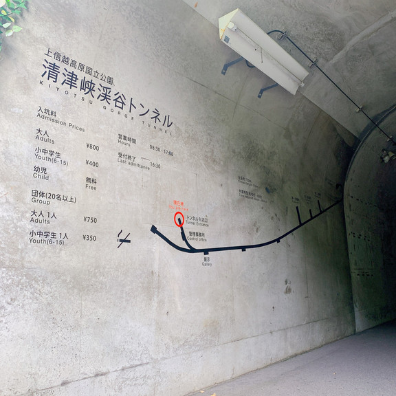 新潟】リフレクションが絵になる洞窟 | Trip.com 十日町