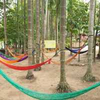 Colorful Cradle Market | Ratchaburi