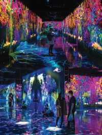 Teamlab Forest Fukuoka ดิจิตัลมิวเซียมสุดปัง📸