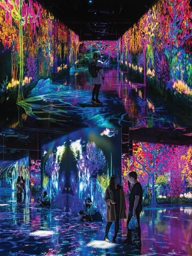 Teamlab Forest Fukuoka ดิจิตัลมิวเซียมสุดปัง📸