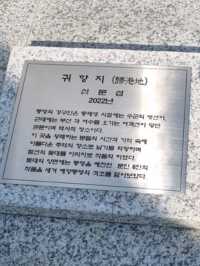 통영항 바다위 사랑스런 동백이랑 눈맞춤🌺