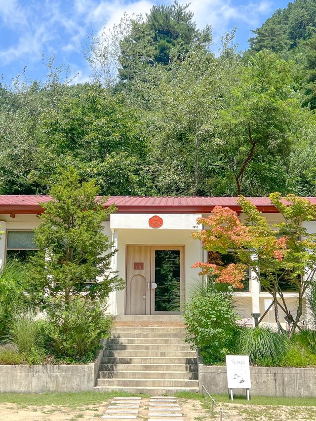 춘천 폐교를 카페로 바꾼 오월학교💛