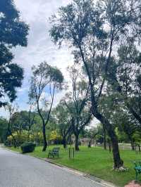 มุมถ่ายรูปฟีลเกาหลี ที่สวนจตุจักรในวันฝนตก 🌳 🚊