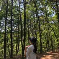수원 광교산 등산⛰️