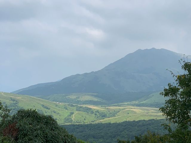 像是人間仙境的地方｜陽明山頂山石梯嶺步道，一定要去