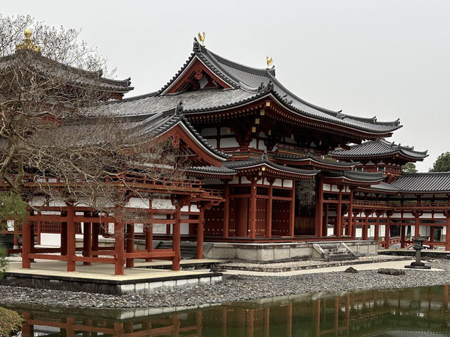 🏯 宇治平等院：日本文化遺產的瑰寶！🍵⛩️