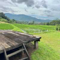 📍Seclee Farm & Camping ริมลำธาร กลางหุบเขา