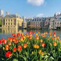 荷蘭海牙🇳🇱用藝術充實身心靈🎨👩🏻‍🦰🐚 Mauritshuis（莫泰瑞斯皇家博物館）