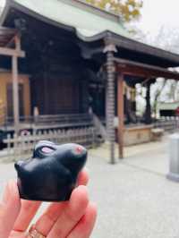 【神奈川県/星川杉山神社】地元密着！高台にある心優しい神社