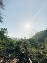 觀賞青馬大橋的行山之旅