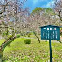 Serene Splendor: Genkyuen's Edo Elegance