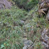開心行下鳳凰山