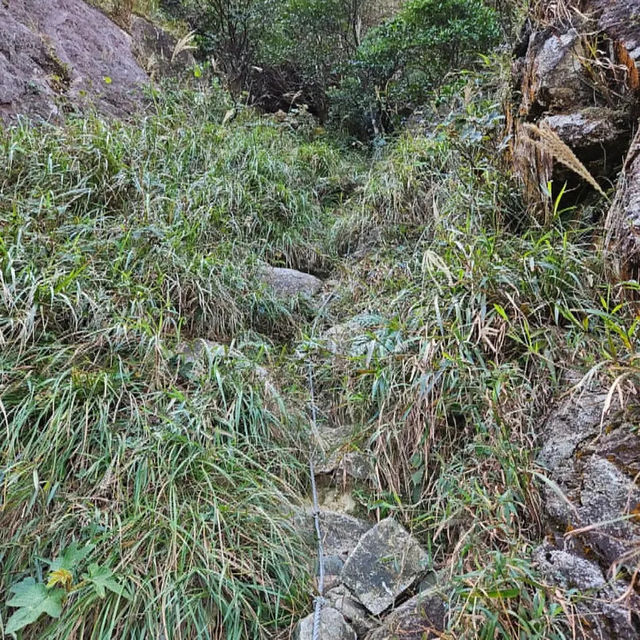 開心行下鳳凰山