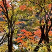 【山梨】昇仙峡で紅葉狩り♪